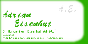 adrian eisenhut business card
